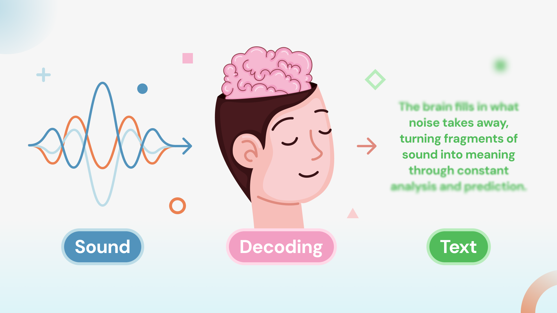 How Your Brain Decodes Words: The Science Behind Listening in Noise